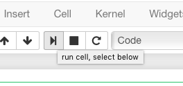 run button and cell menu